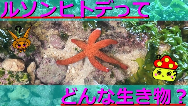 Thumbnail of post image 193